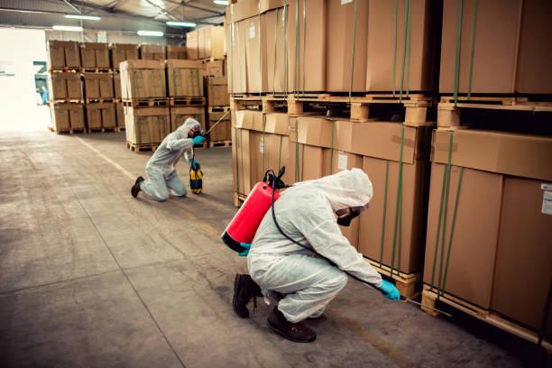 Best Affordable Pest Control Services  in Lus Valley Marinwood, CA