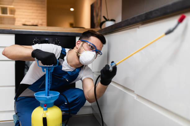 Best Wasp Removal Services  in Lus Valley Marinwood, CA