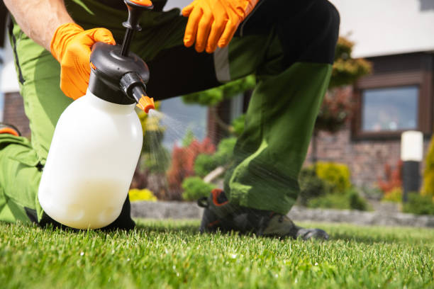 Best Wildlife Control Services  in Lus Valley Marinwood, CA
