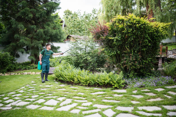 Best Affordable Pest Control Services  in Lus Valley Marinwood, CA