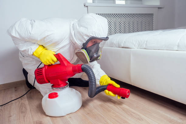 Best Pest Control Near Me  in Lus Valley Marinwood, CA