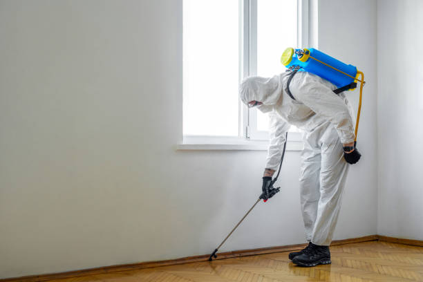 Pest Control Cost in Lucas Valley Marinwood, CA