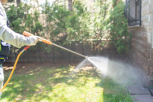 Best Local Pest Control Services  in Lus Valley Marinwood, CA