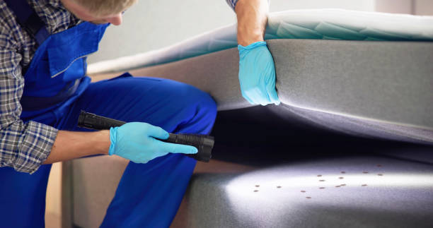 Pest Control for Restaurants in Lucas Valley Marinwood, CA