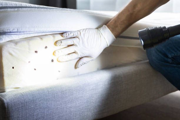 Pest Prevention Services in Lucas Valley Marinwood, CA