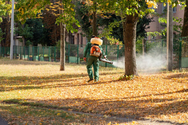 Spider Control Near Me in Lucas Valley Marinwood, CA